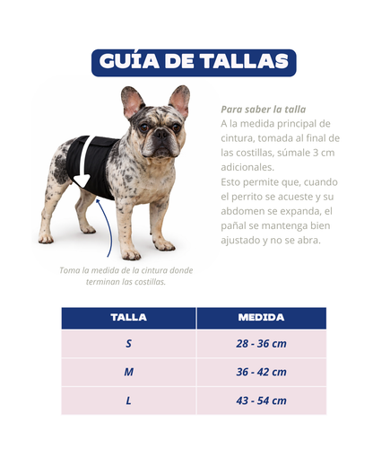 Pañal para PERRO reutilizable y ajustable