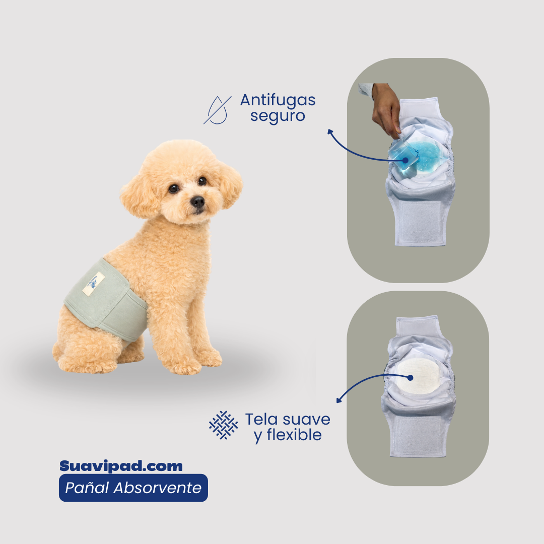 Pañal para PERRO reutilizable y ajustable