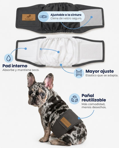 Pañal para PERRO reutilizable y ajustable