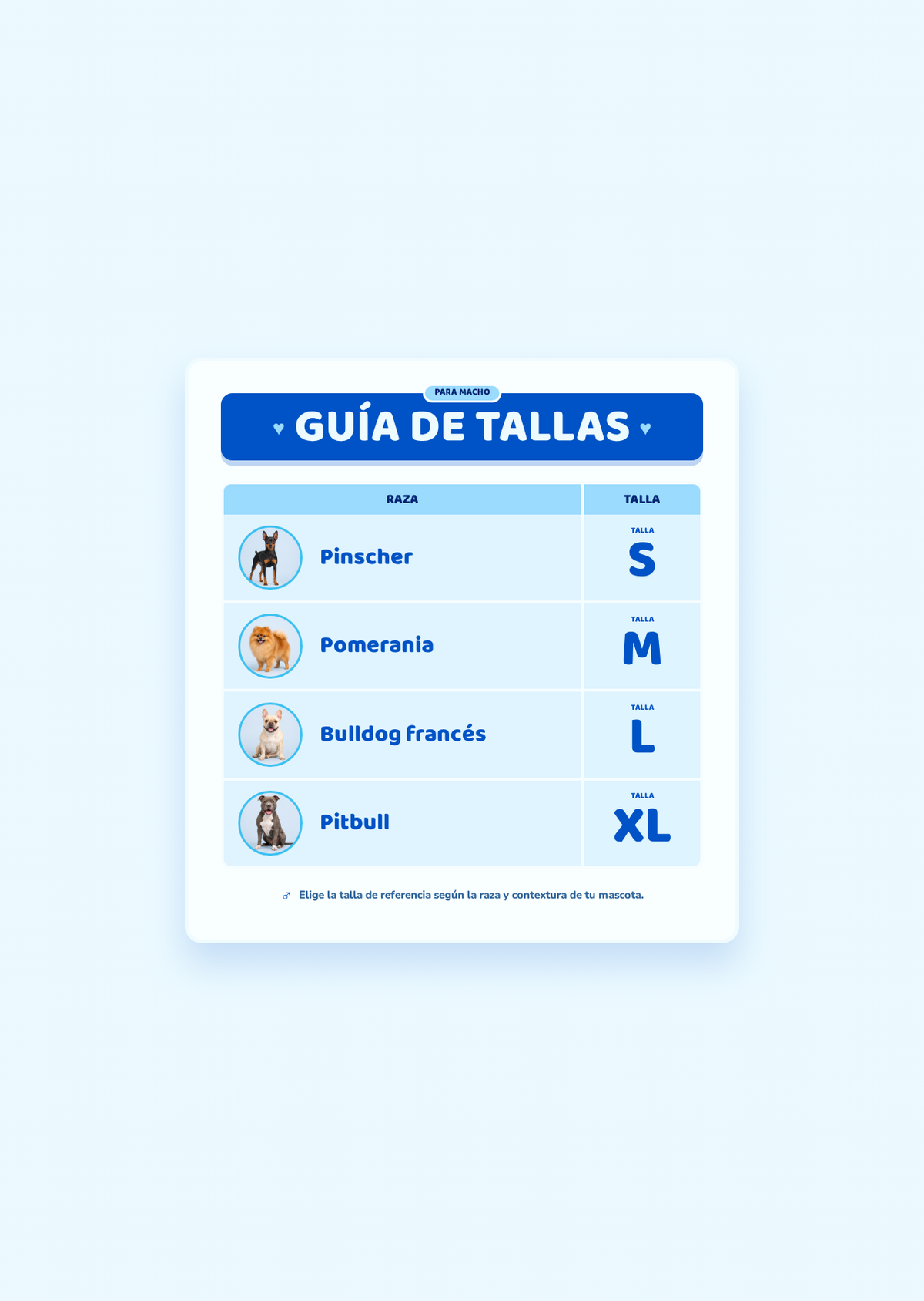 Pañal para PERRO reutilizable y ajustable