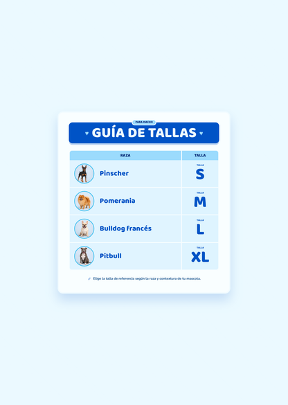 Pañal para PERRO reutilizable y ajustable