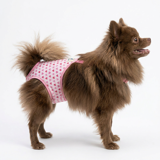 Pañal para perra reutilizable y ajustable