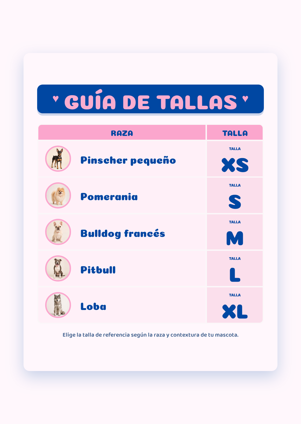 Pañal para perra reutilizable y ajustable