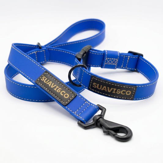 Collar de Biothane® hecho para durar