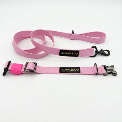 Collar de Biothane® hecho para durar